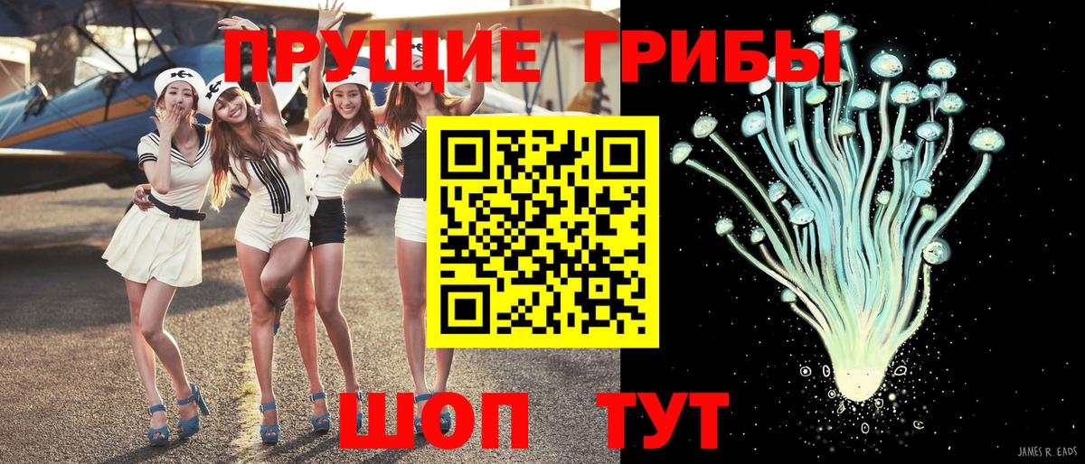 Псилоцибиновые грибы Psilocybe Симферополь